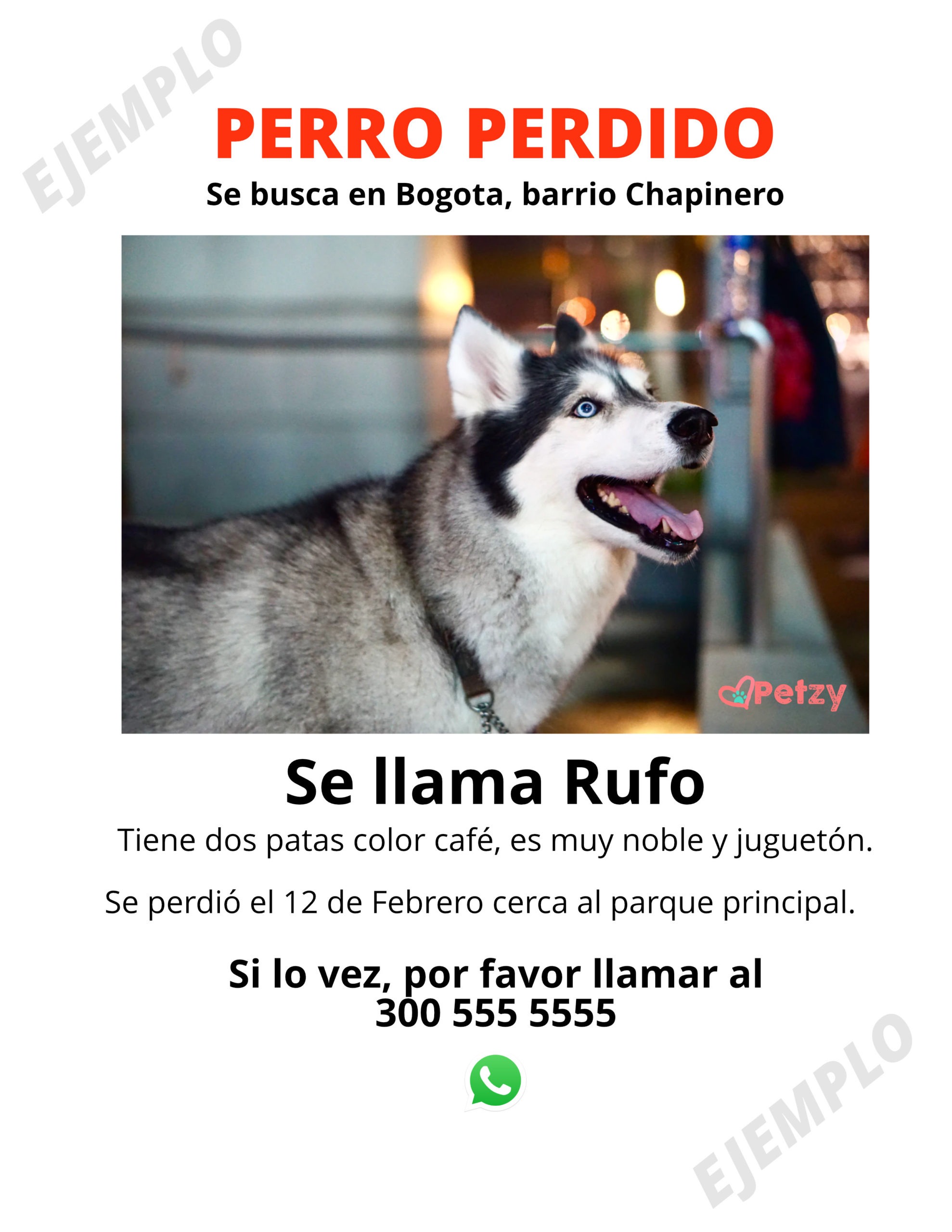 Ejemplo de cartel: Perro perdido