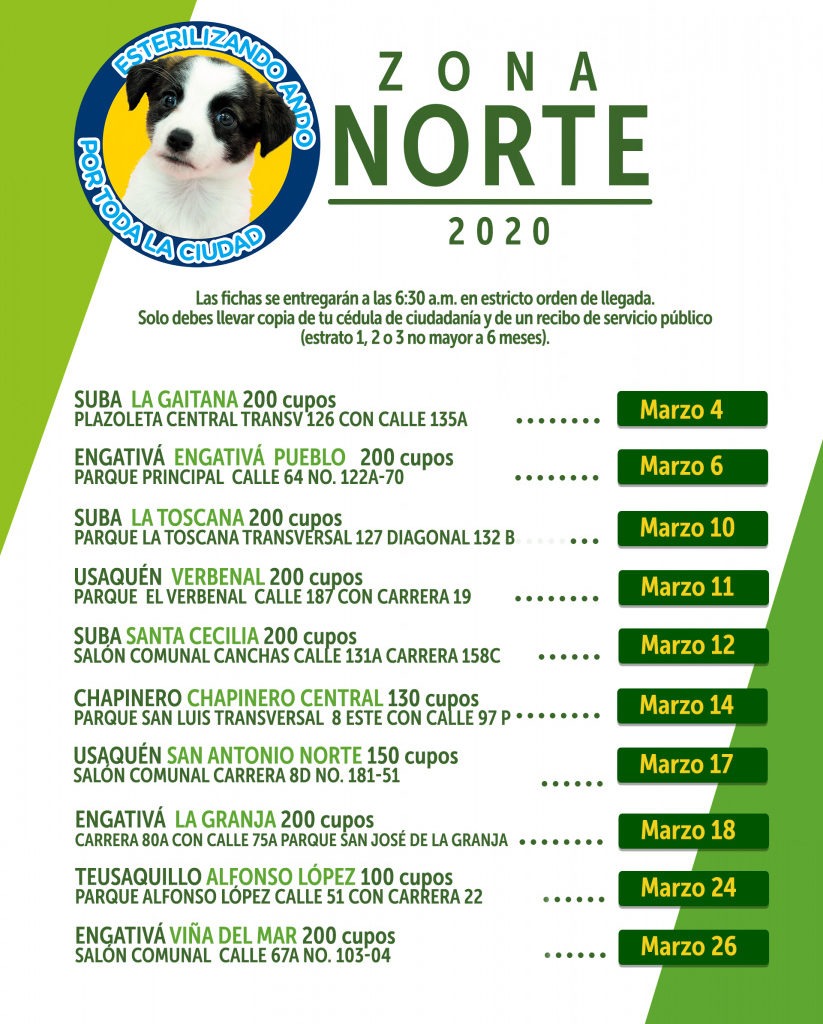 Jornadas de esterilización perros y gatos en el Norte de Bogotá, Marzo 2020